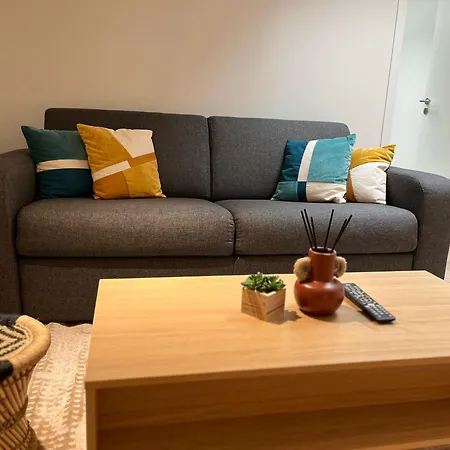 Le Cocon Niortais Apartment *