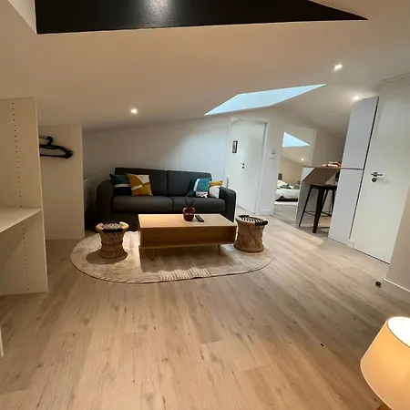 Le Cocon Niortais Apartment