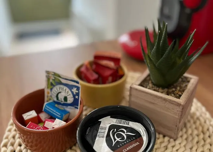 Le Cocon Niortais דירה *