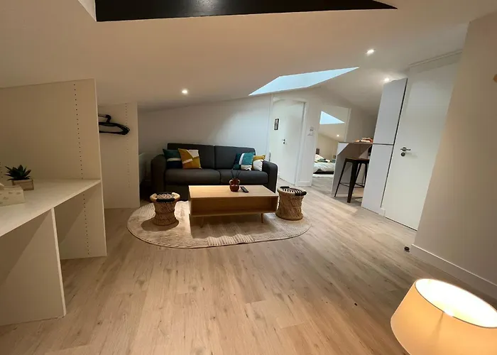 Le Cocon Niortais Appartement